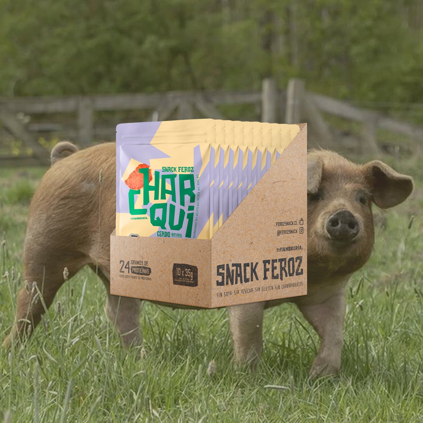 BOX 10 Und - Cerdo
