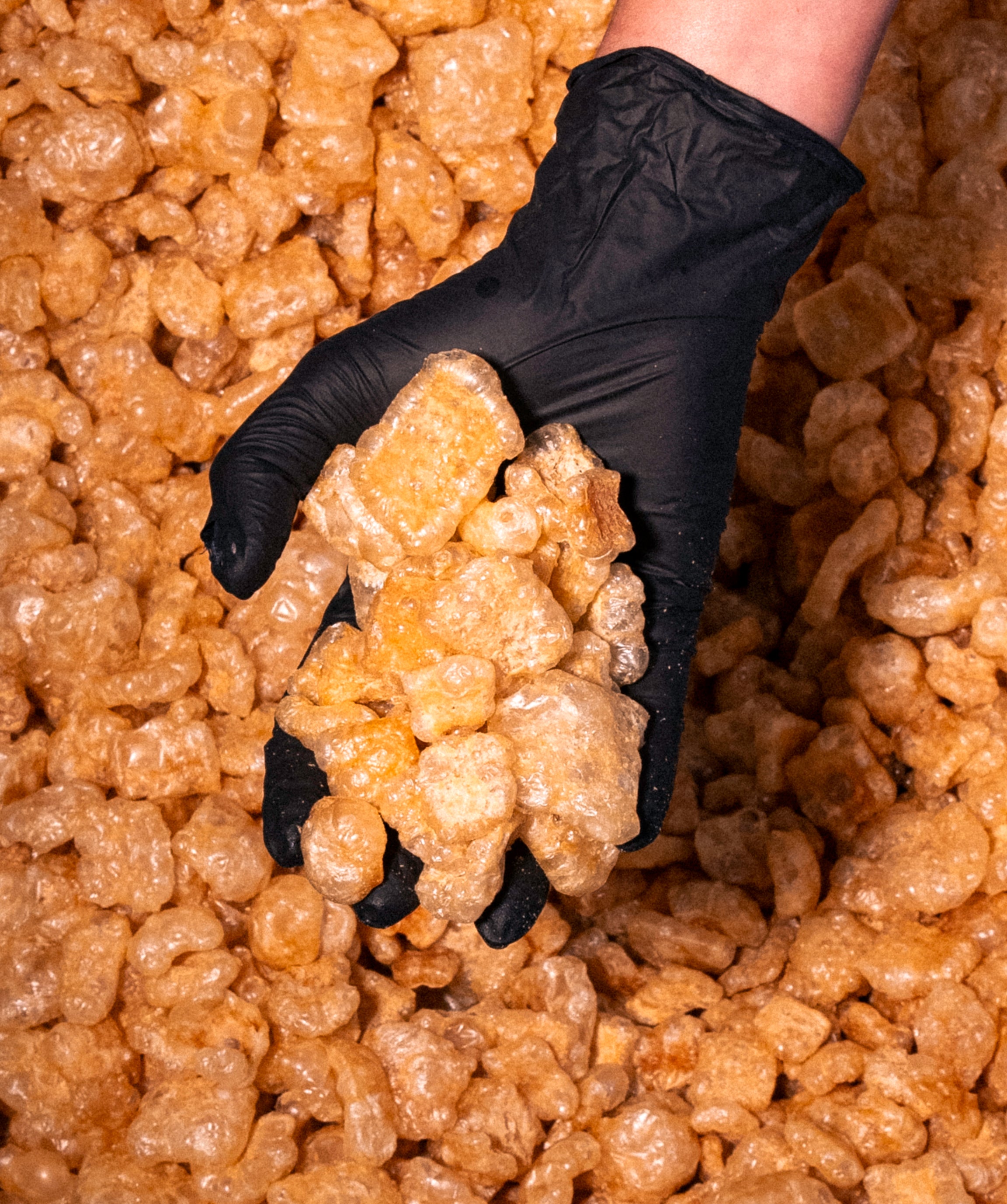 chicharrones artesanales de feroz snack