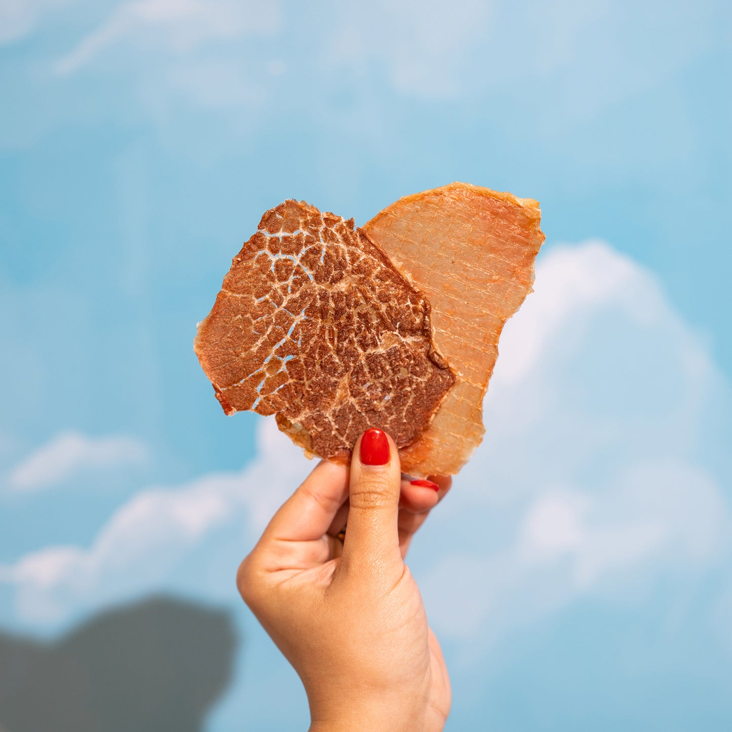 MIX 4 Und - 2 Cerdo / 2 Vacuno