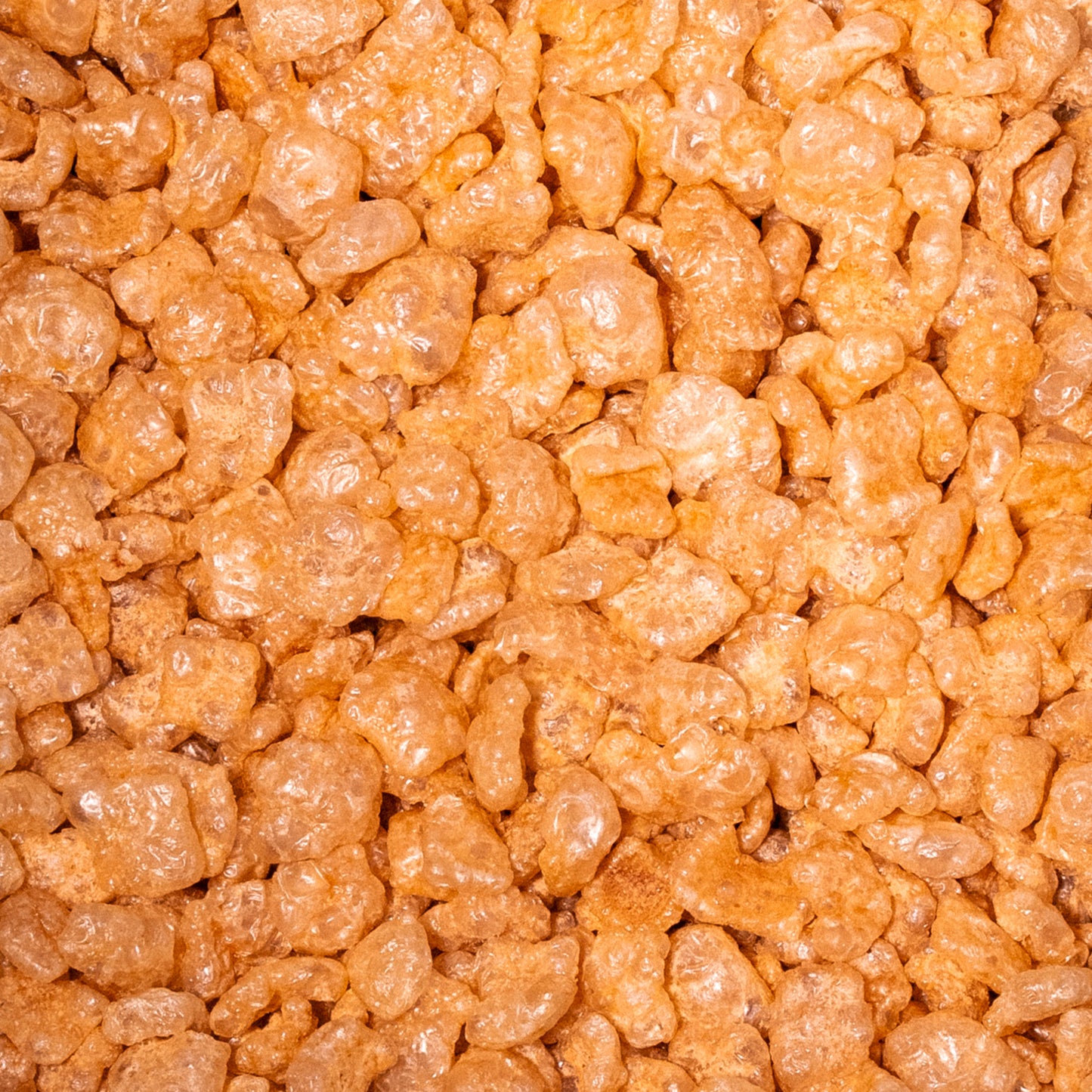 Chicharrón horneado sin frituras, textura crujiente y sabor real